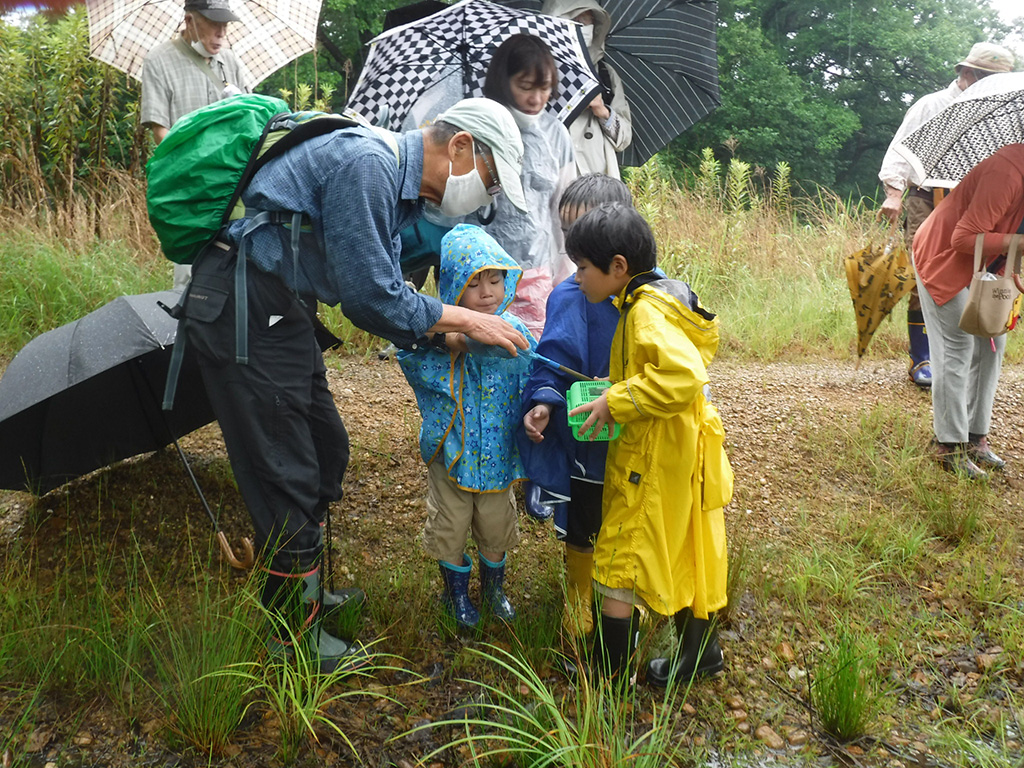 自然観察会の様子/小幡緑地（愛知県/名古屋市）
