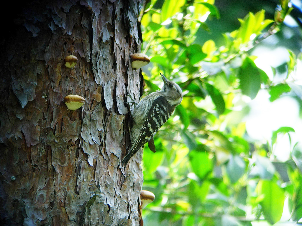 小幡緑地（愛知県/名古屋市）