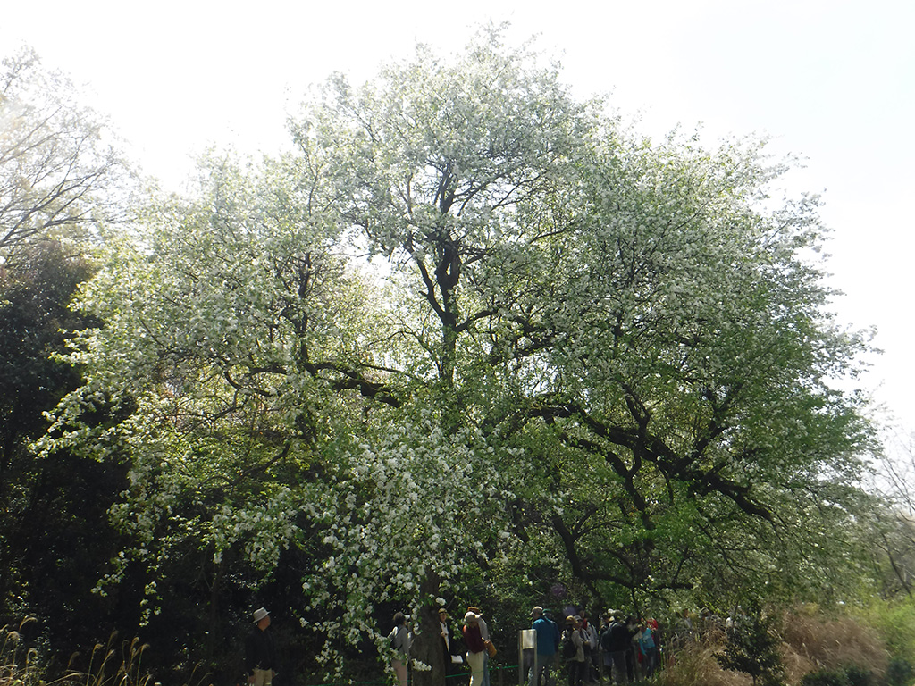 小幡緑地（愛知県/名古屋市）