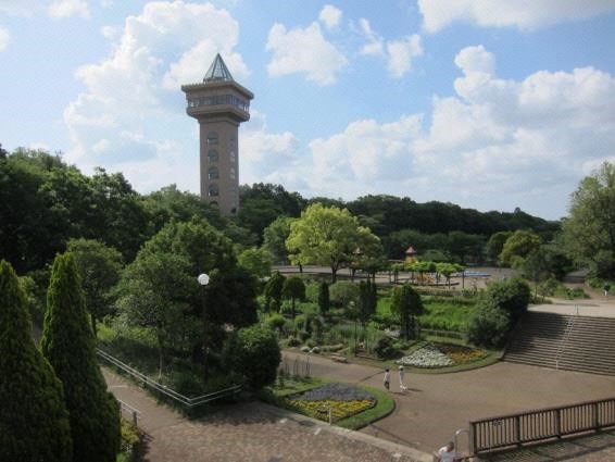 相模原麻溝公園の園内（神奈川県/相模原市）