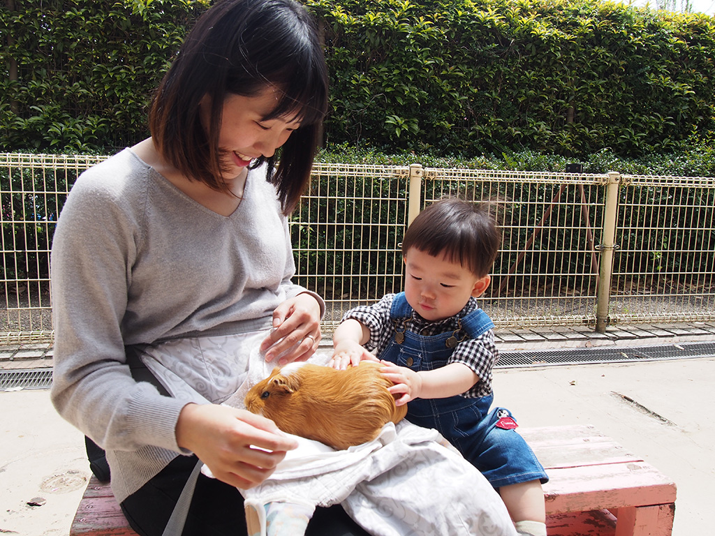 動物とふれあう様子/相模原麻溝公園(神奈川県/相模原市)