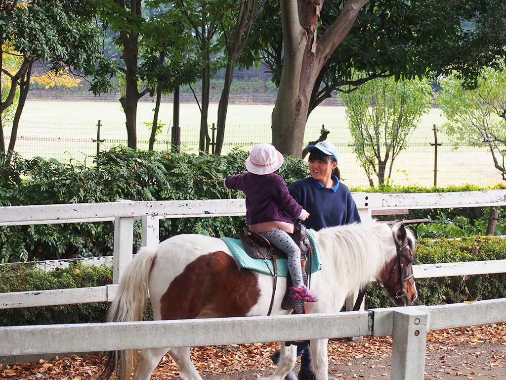 ポニーに乗る子ども/相模原麻溝公園(神奈川県/相模原市)