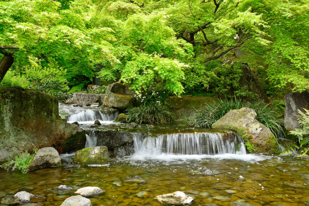 夏には水遊びができる/梅小路公園（京都府/京都市）