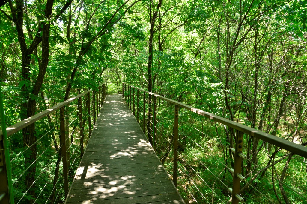 「いのちの森」/梅小路公園（京都府/京都市）