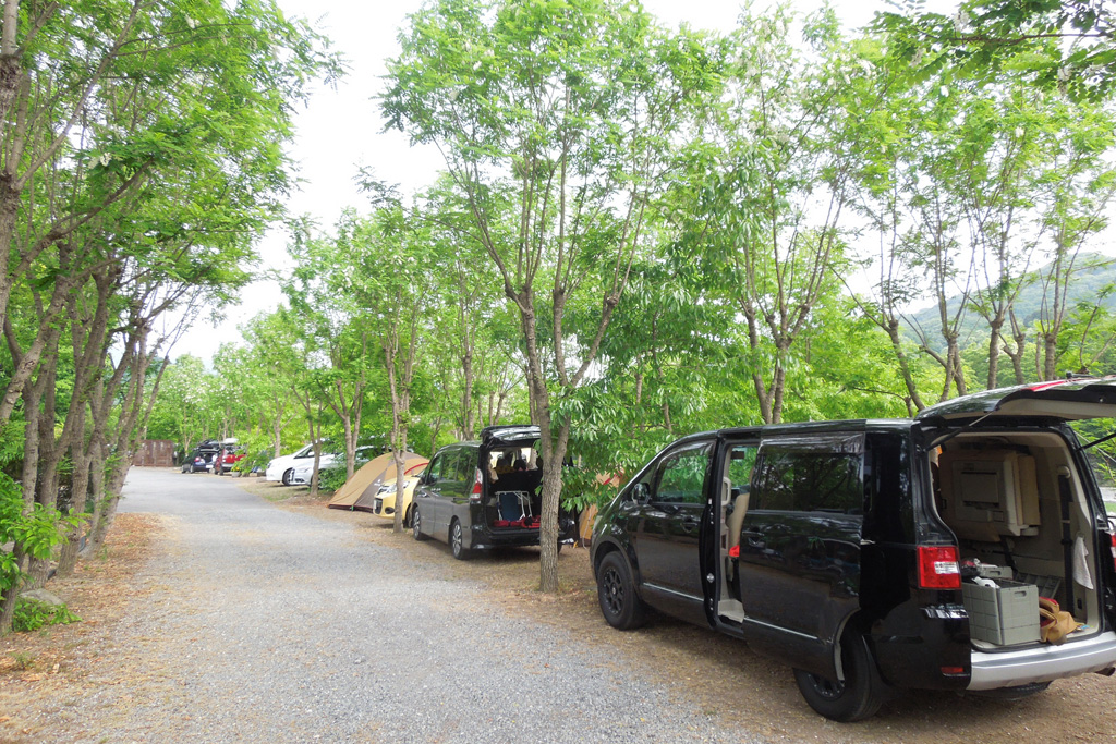 キャンプ場の車