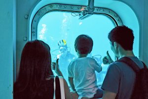 0歳からOK！グアムで1番人気のドルフィンウォッチング＆プライベートビーチ遊び