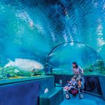 子連れグアム旅行、雨OKの遊び場３選！水族館や屋内型遊園地がおすすめ