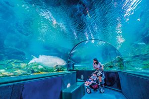 子連れグアム旅行、雨OKの遊び場３選！水族館や屋内型遊園地がおすすめ