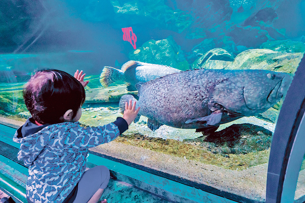 アンダーウォーターワールド(グアム)