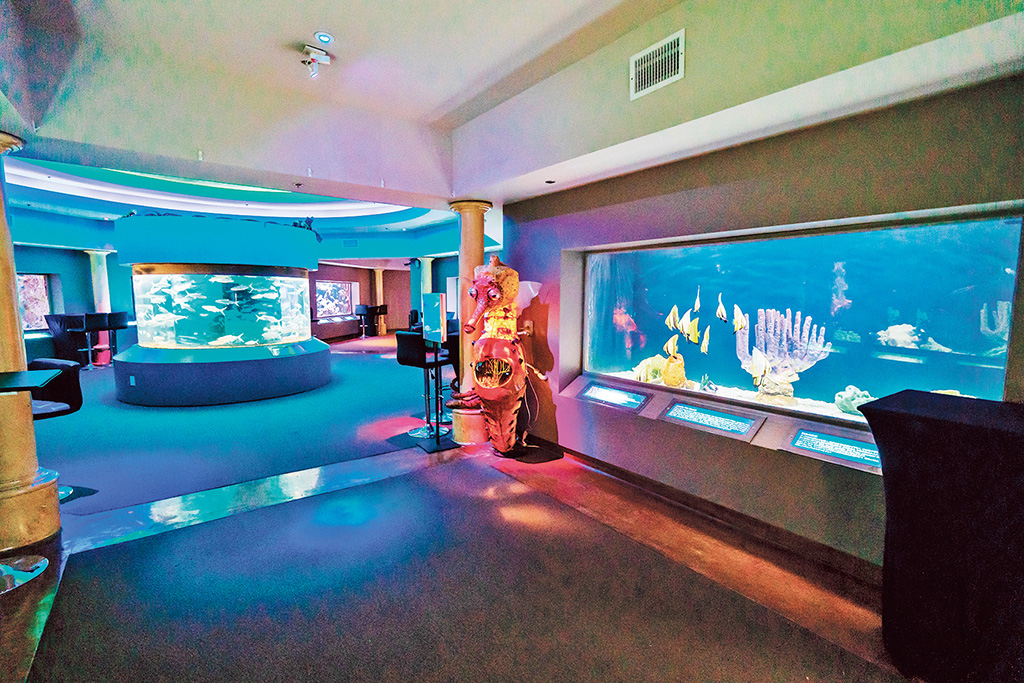 「シーライフギャラリー」/アンダーウォーターワールド(グアム)