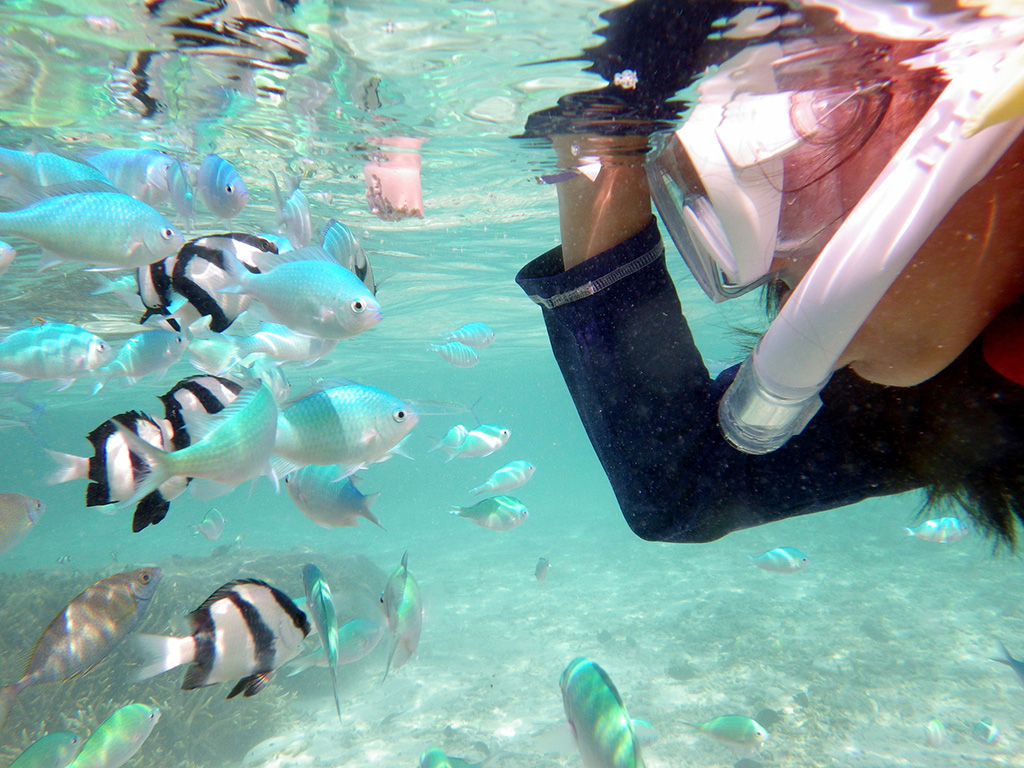 スノーケリングの様子(グアム)