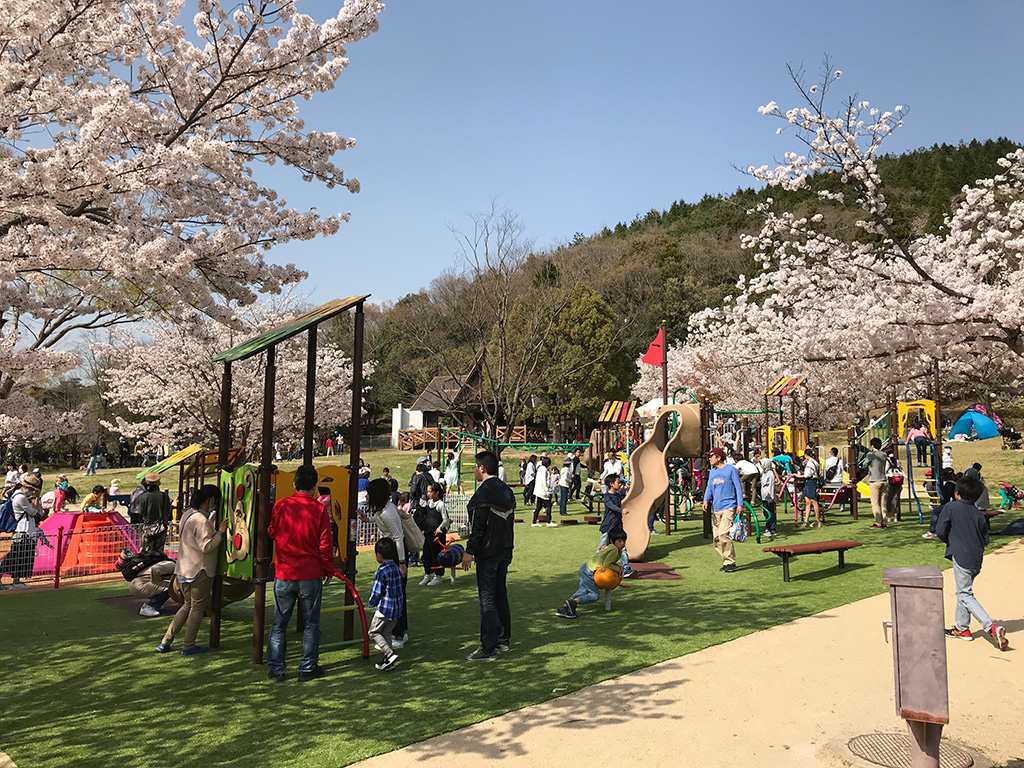 芝生広場/グリーンピア春日井(愛知県/春日井市)