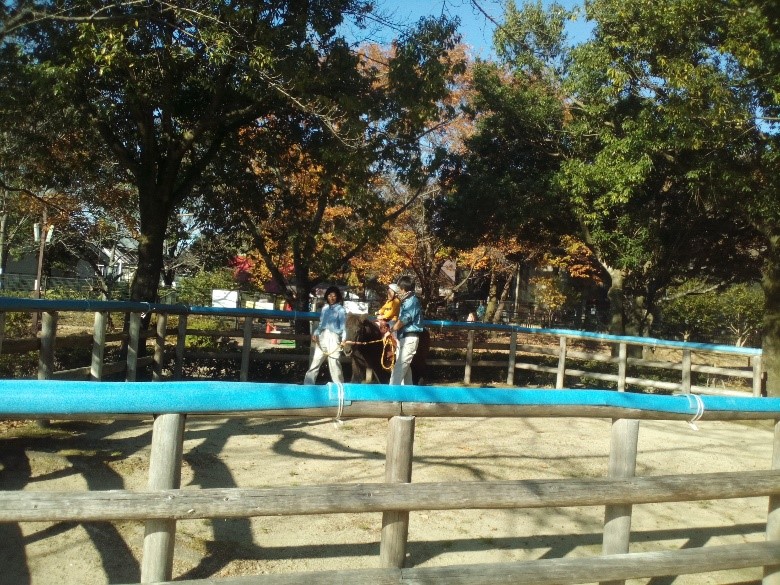 「動物ふれあい広場」/グリーンピア春日井(愛知県/春日井市)