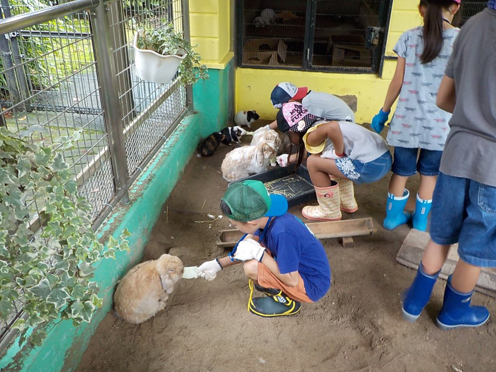 動物とふれあう様子/グリーンピア春日井(愛知県/春日井市)