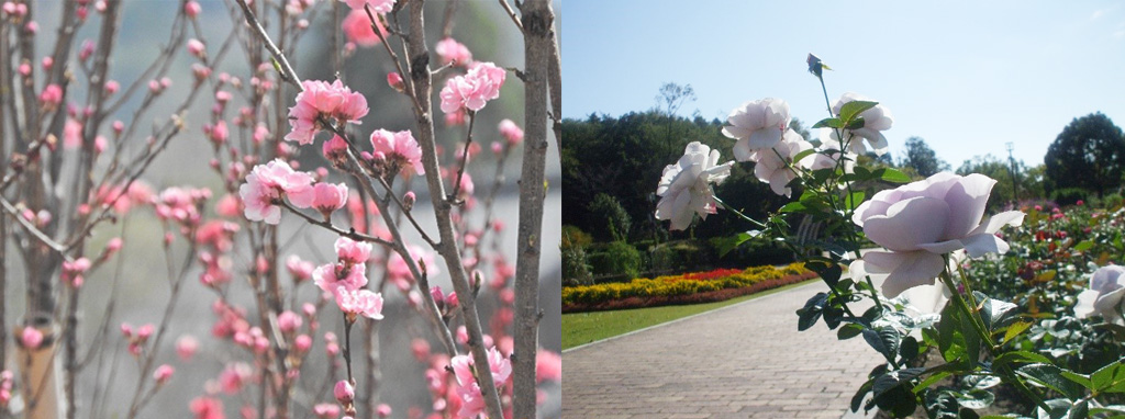 グリーンピア春日井(愛知県/春日井市)