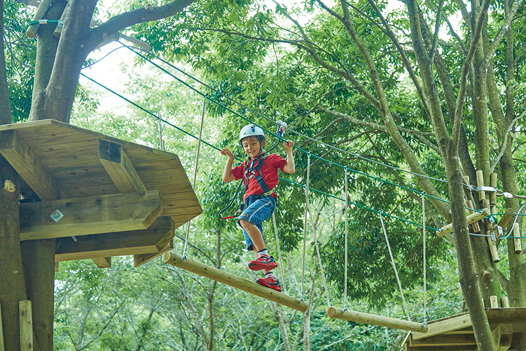 こもれびアドベンチャー/こもれびの森のイバライド(茨城県/稲敷市)