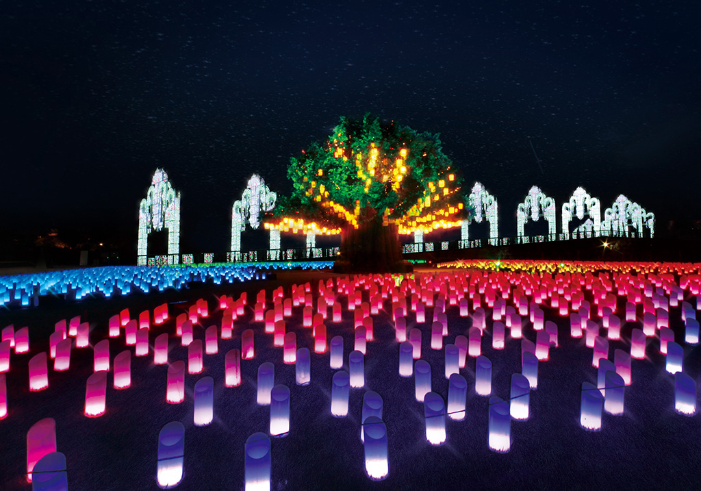 イルミネーション「光の草原」/ラグナシア （愛知県/蒲郡市）