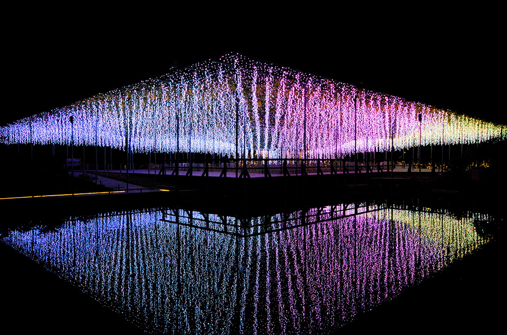 イルミネーション「光のふじのはな物語」/あしかがフラワーパーク（栃木県/足利市）