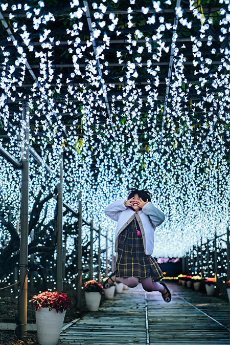 イルミネーション「白藤のトンネル」/あしかがフラワーパーク（栃木県/足利市）