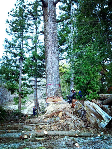 小池耕太郎さん(長野県/茅野市)