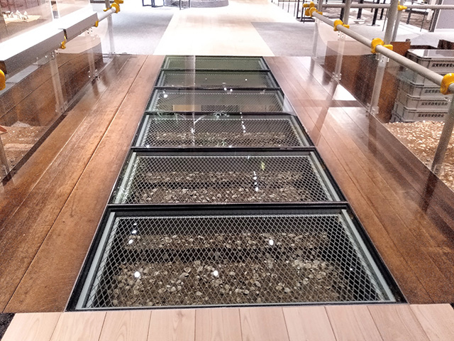 貝塚/滋賀県立琵琶湖博物館（滋賀県/草津市）