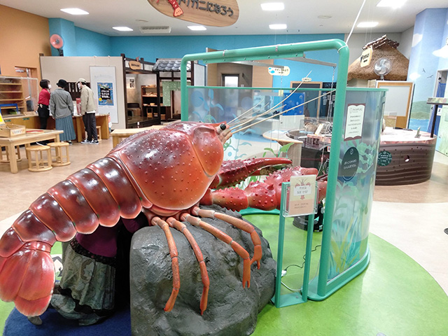 ディスカバリールーム/滋賀県立琵琶湖博物館（滋賀県/草津市）