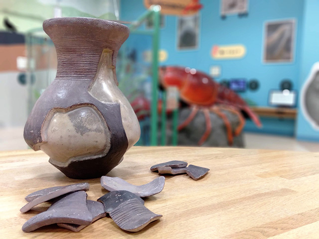 壺のパズル/滋賀県立琵琶湖博物館（滋賀県/草津市）