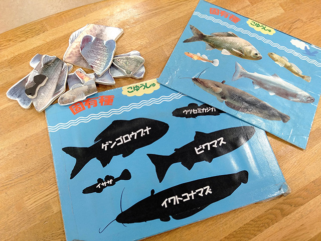 琵琶湖の固有種の魚パズル/滋賀県立琵琶湖博物館（滋賀県/草津市）