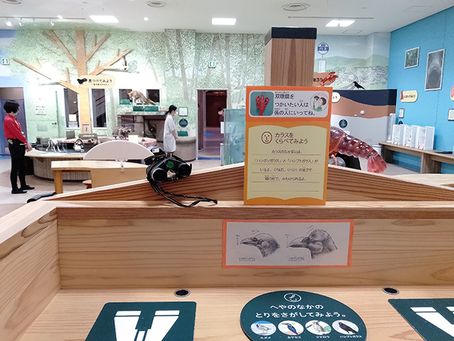 部屋の中の鳥をさがしてみよう/滋賀県立琵琶湖博物館（滋賀県/草津市）