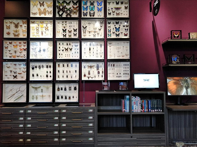 おとなのディスカバリー/滋賀県立琵琶湖博物館（滋賀県/草津市）