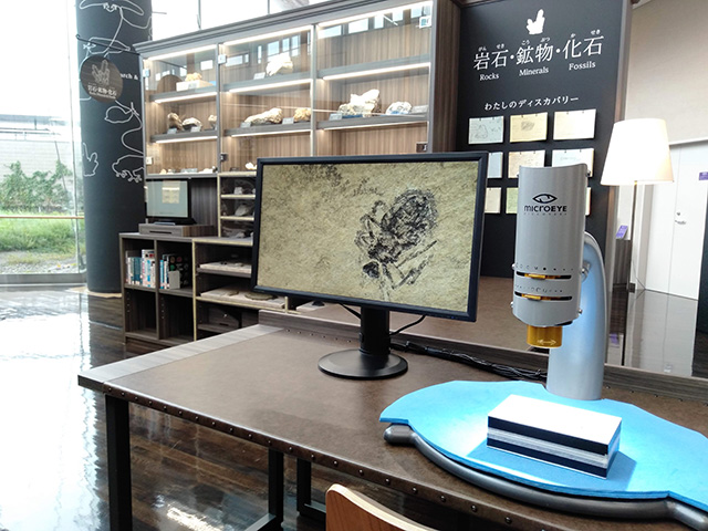 おとなのディスカバリー/滋賀県立琵琶湖博物館（滋賀県/草津市）