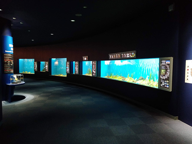 水族展示室/滋賀県立琵琶湖博物館（滋賀県/草津市）