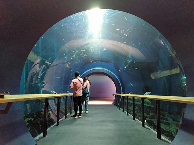 トンネル水槽/滋賀県立琵琶湖博物館（滋賀県/草津市）