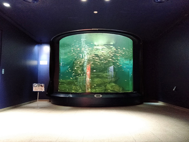 水族展示室/滋賀県立琵琶湖博物館（滋賀県/草津市）