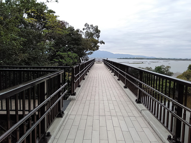 空中遊歩道/滋賀県立琵琶湖博物館（滋賀県/草津市）