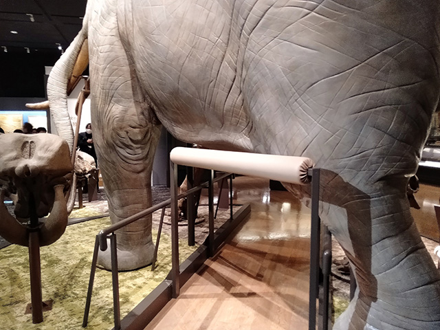 滋賀県立琵琶湖博物館（滋賀県/草津市）