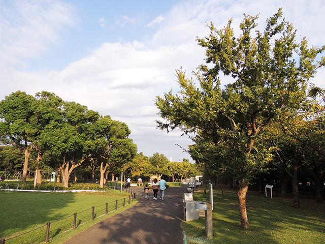 樹木や緑がいっぱいで開放的な空間/東京都葛西臨海水族園(江戸川区)