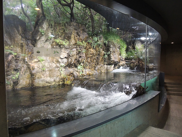 「淡水生物館」/東京都葛西臨海水族園(江戸川区)