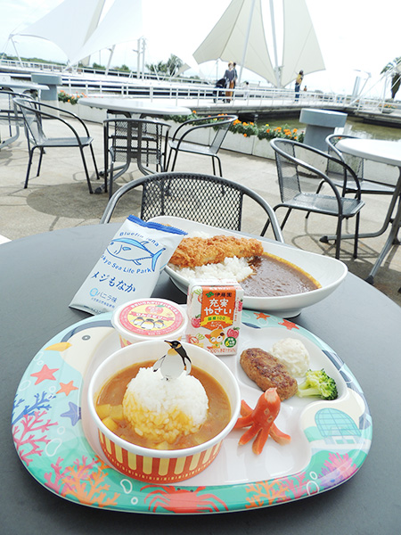 レストラン「シーウィンド」テラス席/東京都葛西臨海水族園(江戸川区)