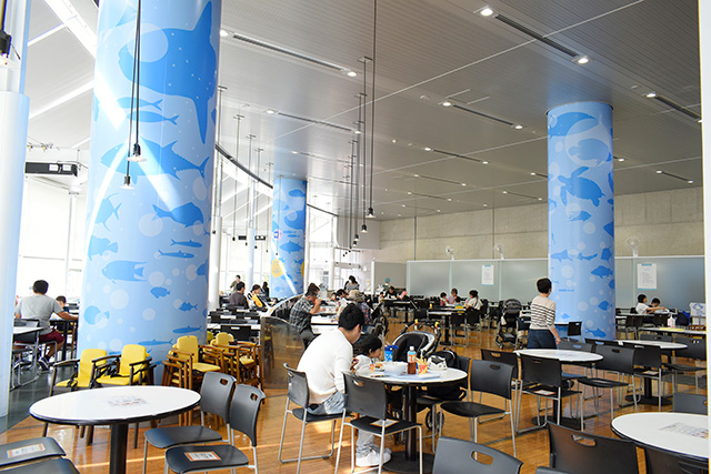 レストラン「シーウィンド」屋内席/東京都葛西臨海水族園(江戸川区)