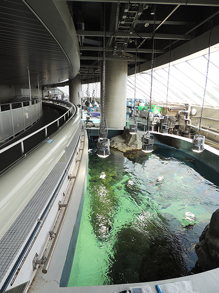 上から見た「東京の海」の水槽/東京都葛西臨海水族園(江戸川区)