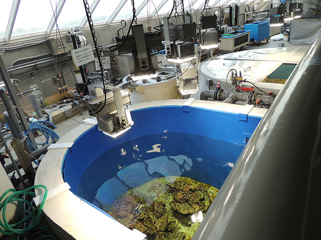 魚のエサやりが見られることも/東京都葛西臨海水族園(江戸川区)