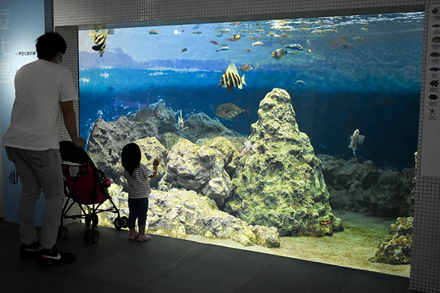 「伊豆七島の海」水槽/東京都葛西臨海水族園(江戸川区)