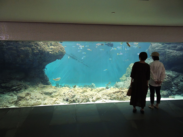 「東京の海」の水槽/東京都葛西臨海水族園(江戸川区)