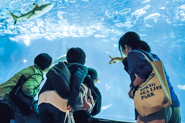 ガイドツアーのイメージ/東京都葛西臨海水族園(江戸川区)