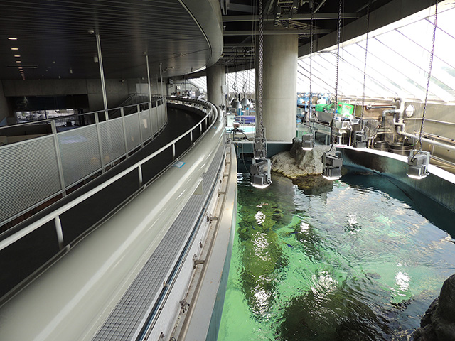 バックヤードのような「キャットウォーク」/東京都葛西臨海水族園(江戸川区)