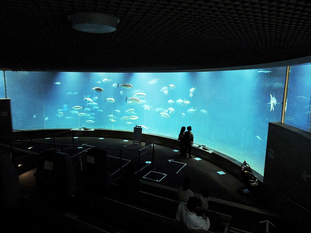 東京都葛西臨海水族園の「アクアシアター」（江戸川区）