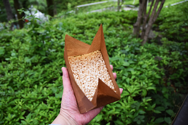 ポン菓子/西武園ゆうえんち(埼玉県/所沢市)