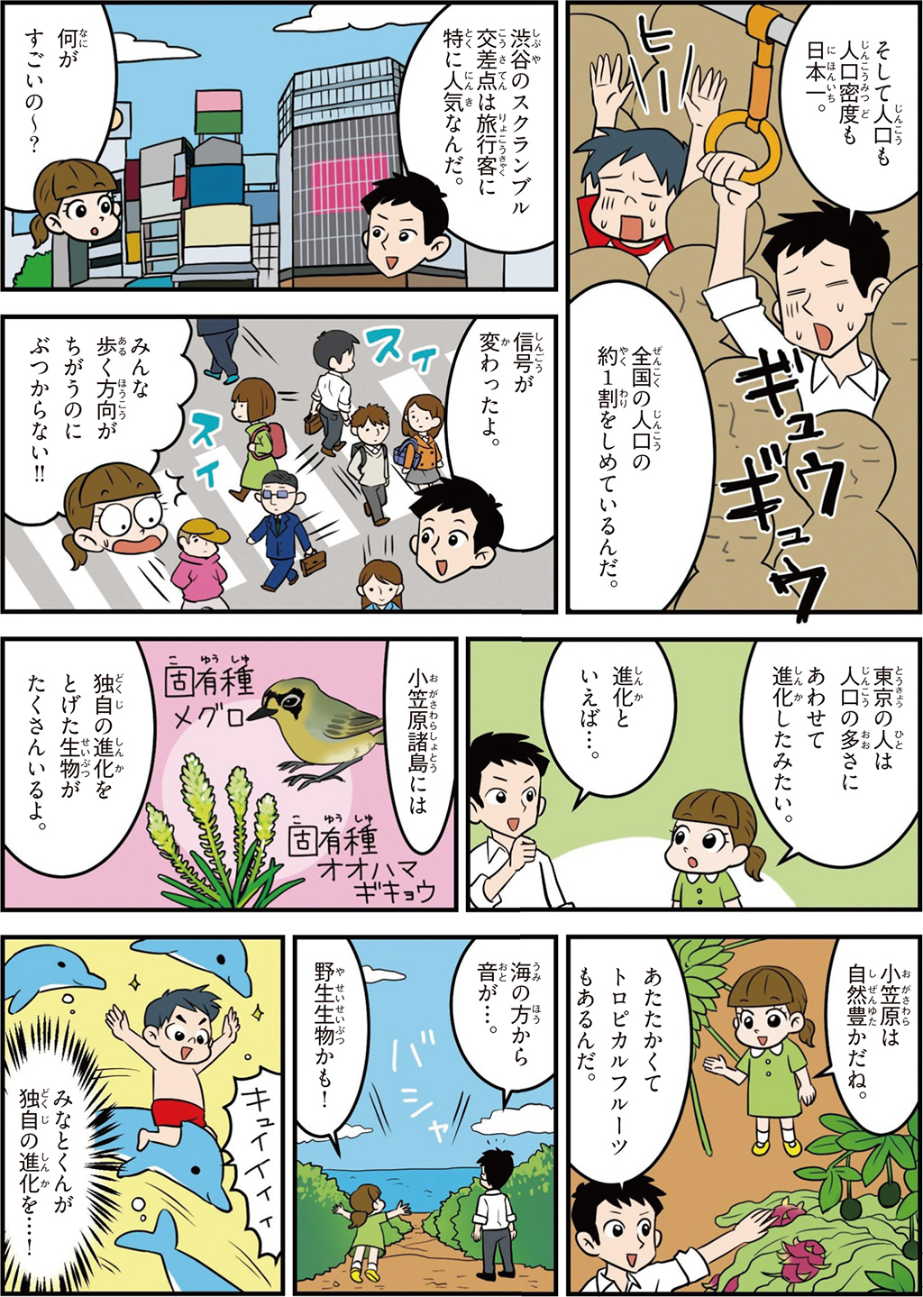 東京都の特徴マンガ2／人口密度日本一、渋谷スクランブル交差点、小笠原諸島