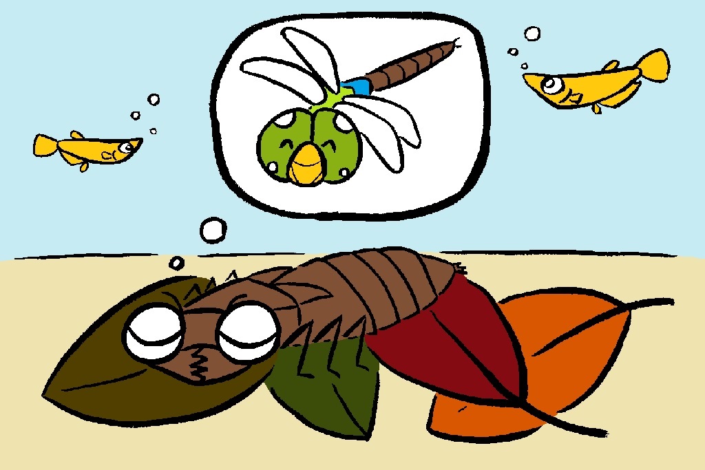 トンボの幼虫(ヤゴ)